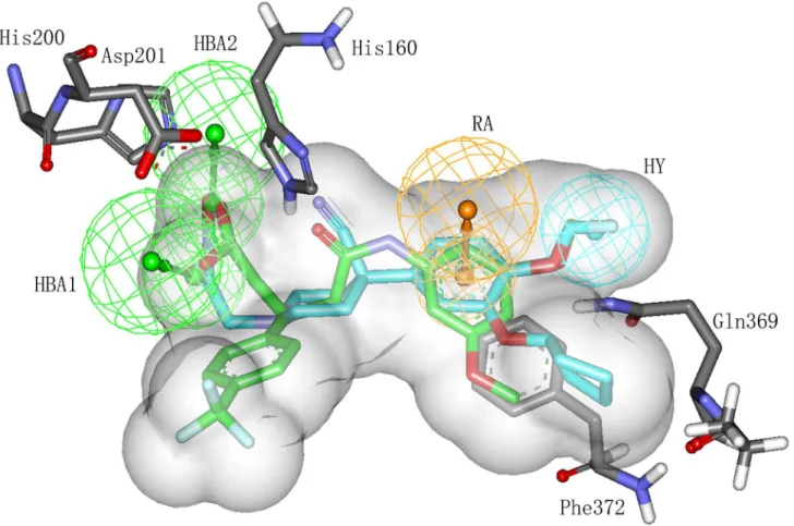 Figure 9.  Pharmacophore mapping of PD00519 and compound 1 as predicted by molecular docking