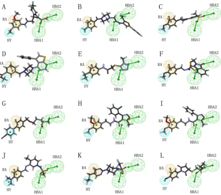 Figure  10.    Pharmacophore  mapping  of  twelve  hit  compounds  based  on  the  best  pharmacophore  model,  Hypo1