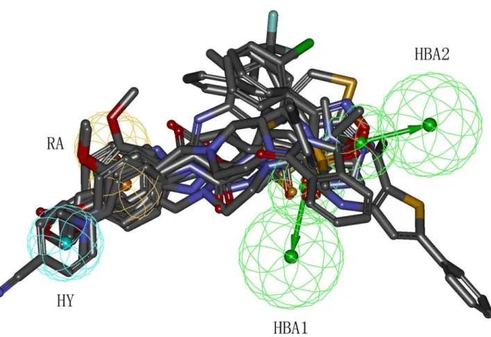 Figure 11.  Alignment of twelve hit compounds with the best pharmacophore model, Hypo1