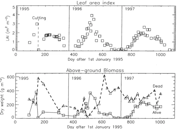 Fig. 6. The green leaf area index and above-ground green biomass (boxes) and necromass (thick dashed line and triangles) measured over the MUREX fallow in 1995, 1996, and 1997.