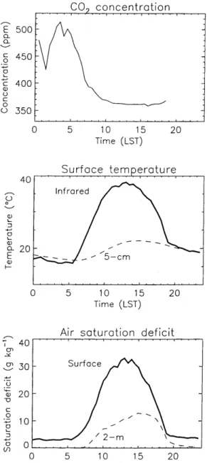 Fig. 7. Measurements characterising the bioclimatological function- function-ing of the MUREX fallow on DoY 247 in 1997