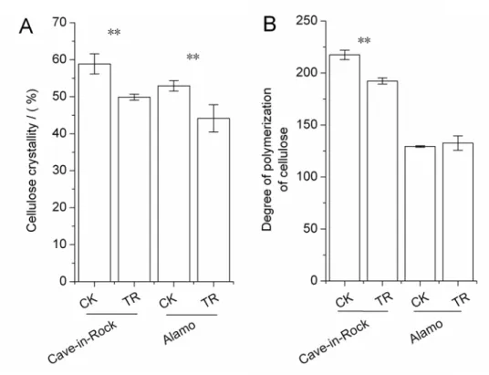 Fig 3. Cellulose characteristics of switchgrass stems (A) Cellulose crystallinity indexes (CrI), (B) Cellulose degree of polymerization (DP) ** , a significant difference between CK (control) and TR (tassel removal) by t -test at P &lt;0.01 (n = 3)