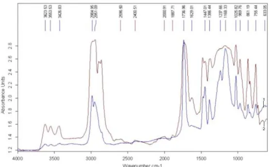 Fig. 6. The micro-FTIR spectra of the ring discovere in archaeological excavations at Ibida: 
