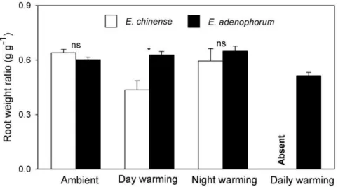 Figure 3. Root weight ratio of the invasive plant Eupatorium adenophorum and the native plant Eupatorium chinense grown in four different air temperatures