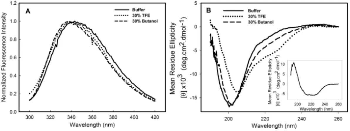 Figure 2 Structural changes of HCV C124 induced by TFE and butanol. Changes on the tertiary struc- struc-ture (A) and secondary strucstruc-ture (B) of C124 (25 µ M) in the presence of 30% butanol or 30% TFE