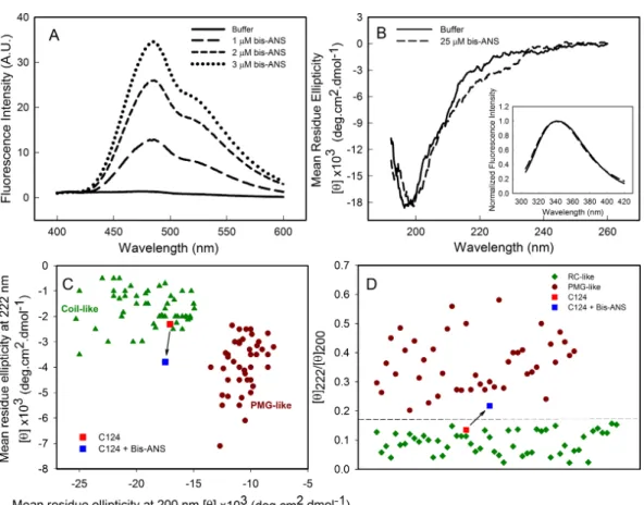 Figure 3 Analysis of binding of bis-ANS to C124. (A) Analysis of bis-ANS binding to C124 (1 µ M) by the increase of fluorescence intensity of bis-ANS spectra