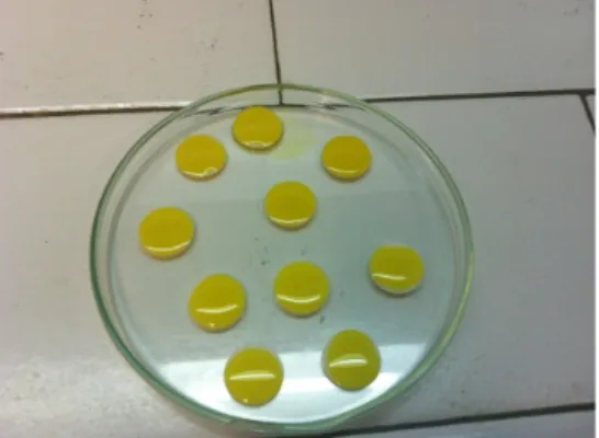 Figura 3. 3 - Caixa de Petri com espécimes com a solução de ácido quente. 