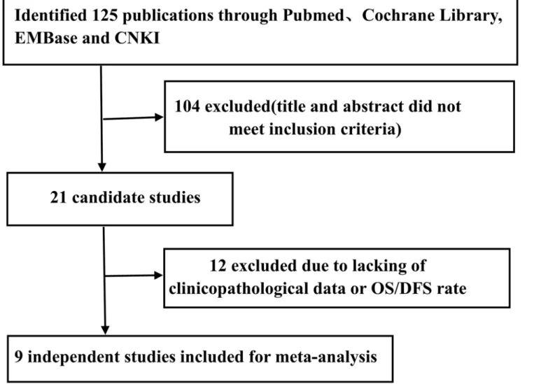 Fig 1. Flowchart of selection of studies for inclusion in this meta-analysis. Nine studies with 1203 patients were included in this meta-analysis