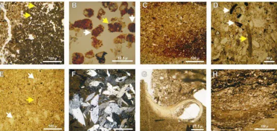 Fig. 5. Puente El Zampal locality: photomicrographs of micromorphological features (PPL: