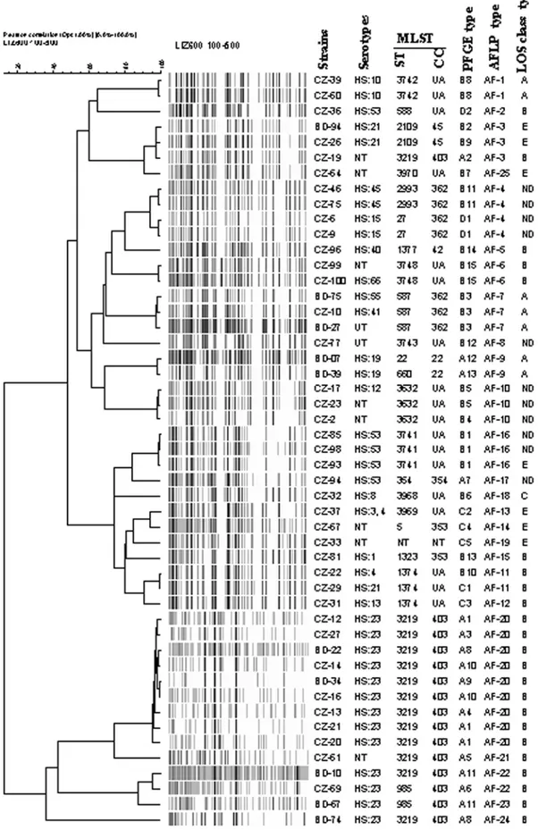 Figure 3. UPGMA dendrogram of AFLP fingerprints from 40 gastroenteritis and 10 strains related to patients with GBS