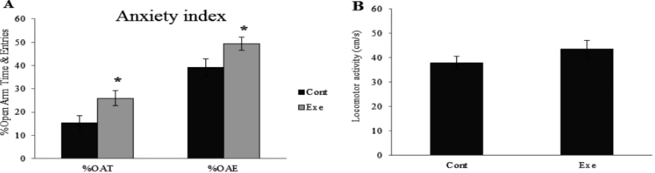 Figure  1.  The  effect  of  exercise  activities  on  anxiety  indices  and  locomotor  activity:  each  bar  shows  mean±  SEM, 