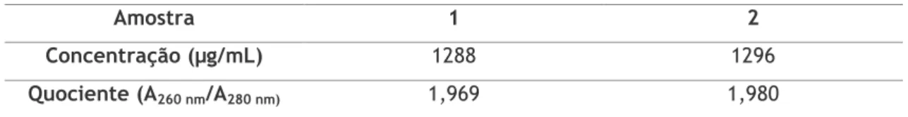 Tabela 1. 4. Quantificação de sRNA e quociente (A 260 nm /A 280 nm ). 