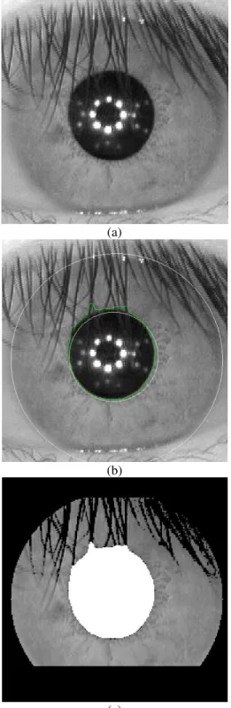 Fig. 6  Segmentation of highly covered iris. (a) Iris covered with  eyelashes; (b) Detection of the iris; (c) Segmented iris