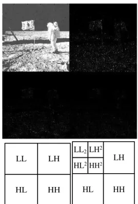 Figure 3. One dimensional discrete wavelet transform  applied to the columns of the image Moon