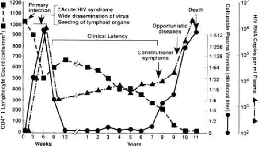 Figure I.1.2. Natural history of HIV-1 infection: evolution of CD4 cell count and plasma viremia [6]