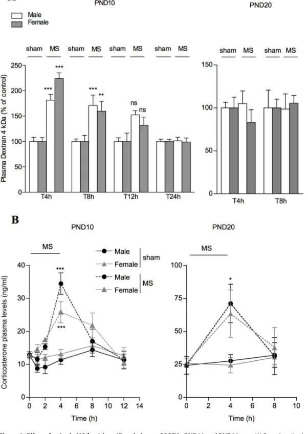Figure 2. Effect of a single MS for 4 h on IP and plasma CORT in PND10 and PND20 rats