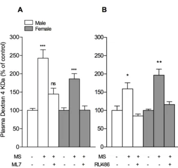 Figure 4. Effects of RU486 and ML7 on MS-induced increase of IP to FD4 in PDN10 rats. Treatment with (A) ML7 (1 mg/kg/d in 0.9%