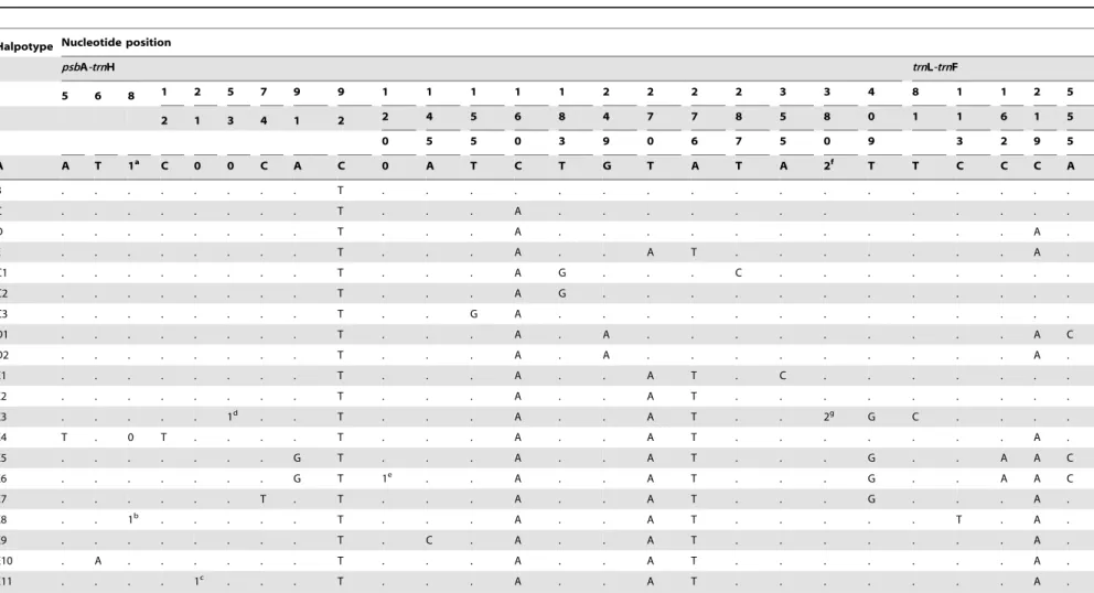 Table 2. Chloroplast DNA sequence polymorphisms detected in two intergenic spacer (IGS) regions of Scrophularia ningpoensis identifying 21 haplotypes (A-E11).