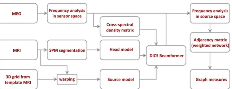 Fig 1. Data processing and network construction pipeline. After artifact rejection, MEG data was projected to the source space using dynamic imaging of coherence sources (DICS) beamformer