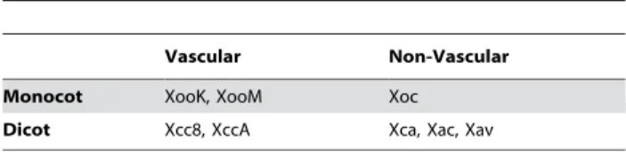 Table 1. Classification of the examined Xanthomonas strains by host- and tissue-specificity a .