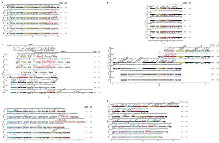 Figure 1. Comparison of six clusters of genes involved or implicated in pathogenesis among Xanthomonas strains representing three species and six pathovars