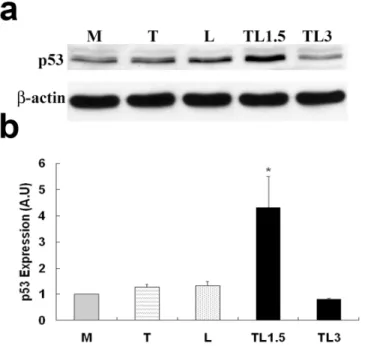 Fig 4. p53 protein expression by TGRL lipolysis products was suppressed by TGF-β receptor inhibitor, ALK