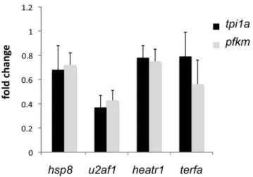 Figure 4. In mutants, biosynthesis was generally suppressed and catabolism was activated