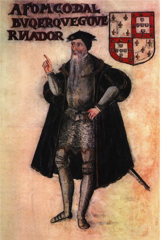 Figure 3. Portrait of Afonso de Albuquerque