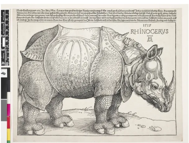 Figure  8.  Rhinoceros  in  profile  to  right  (woodcut  and  letterpress),  Albrecht  Dürer,  1515, 212 x 296 mm (woodcut) 