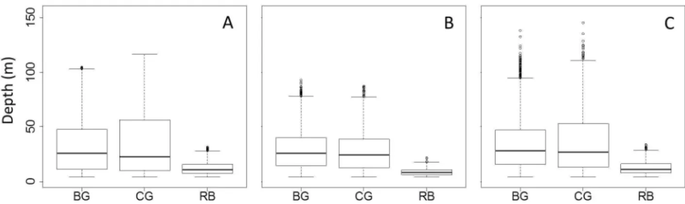 Figure 3.  Median maximum dive depth of auks on an annual cycle.  Median maximum dive depth of Brünnich’s guillemot (BC), common guillemots (CG) and razorbills (RB) during the breeding season (A), post-breeding period (September, B) and pre-breeding period