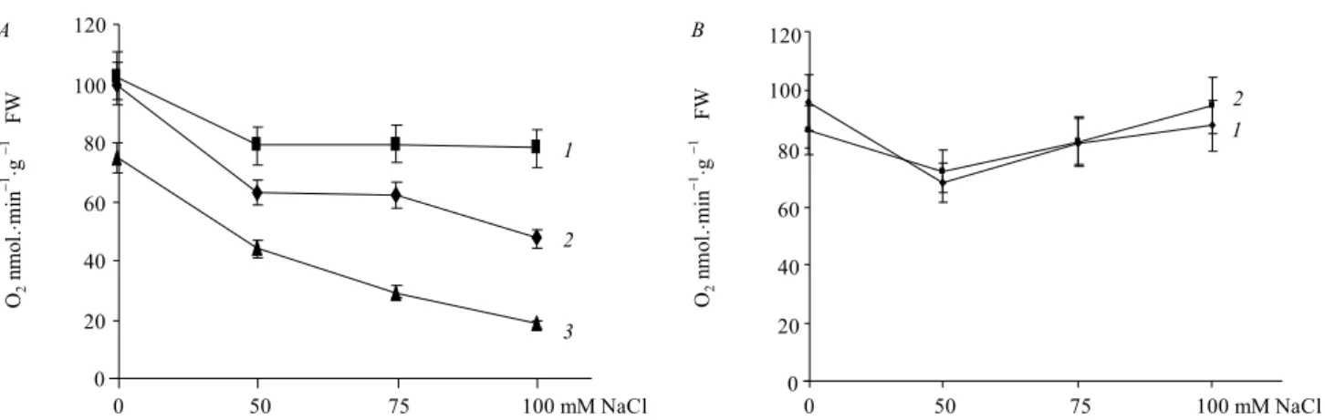 Fig 1. A – influence of 24-epibrassinolide (EBL) and brassinazole (BRZ) on alternative oxidase (AOX) respiration rate in wild-type (WT) A