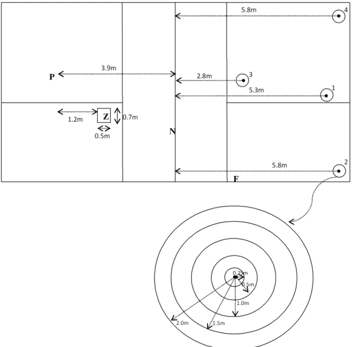 Figure 1. Schematic diagram of test set-up. Figure includes position of participant (P) in relation to feeding zone (Z), net (N), target zones (1, 2, 3 and 4) and feeder (F) as well as dimensions of feeding zone and target zones.