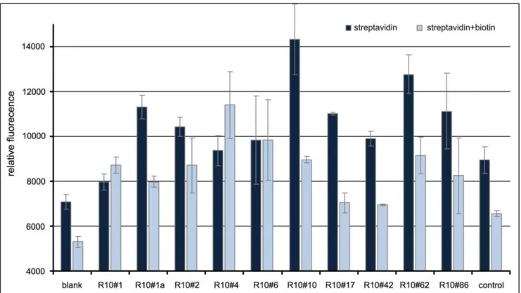 Figure 4. Microtiter plate binding assay (FLAA) of single clones applied as synthetic oligonucleotides to immobilized streptavidin.