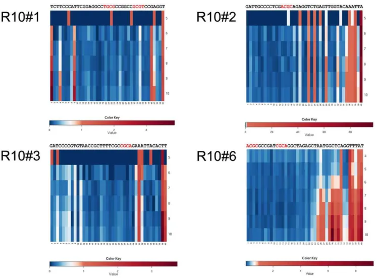 Figure 10. Heat map indicating mutation frequency in selected abundant clones over selection rounds 5 to10 listed in successive rows