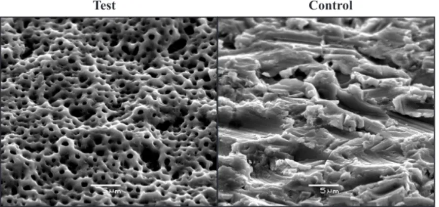 Figure 1. Scanning electron microscopy image of the surface blasted with titanium  particles (control), and Mg-incorporated anodized surface (test) (Scale bar: 5 µm).
