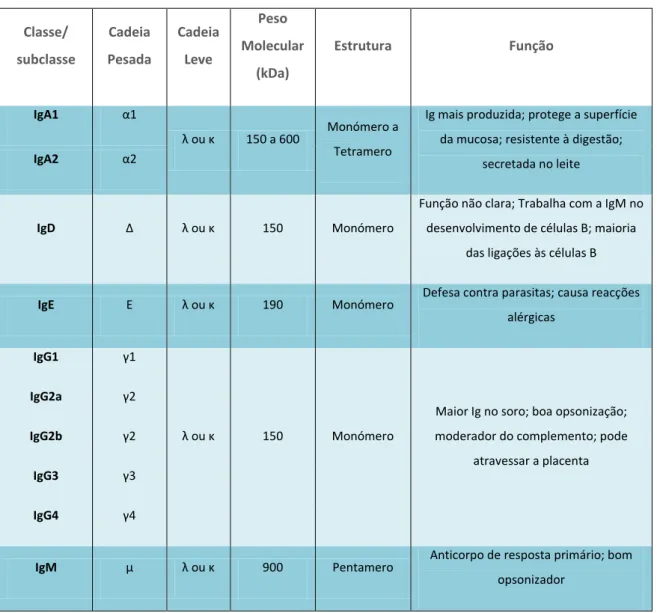 Tabela 1 – Diferentes classes e subclasses de imunoglobulinas e suas características estruturais e  funcionais (adaptado de International, C., 2010) 
