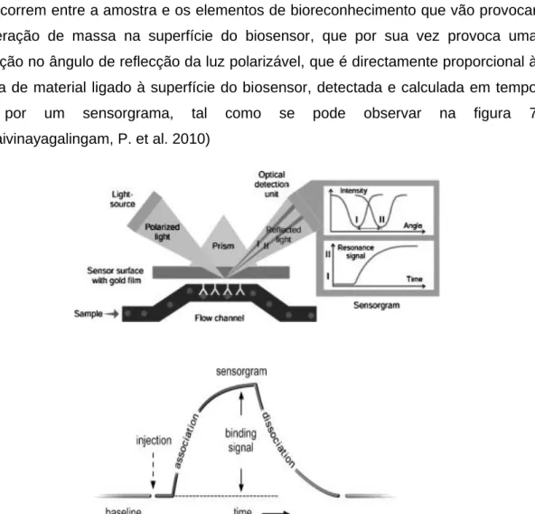 Figura 7 – Esquema de sistema de detecção de SPR (adaptado de (Thillaivinayagalingam, P