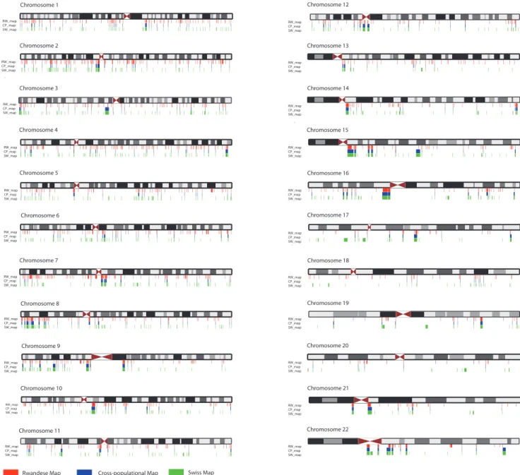 Figure 4. Whole genome view for the three CNVR maps. Depicted are schematic representations and banding patterns of autosomal chromosomes in single-chromatid formation