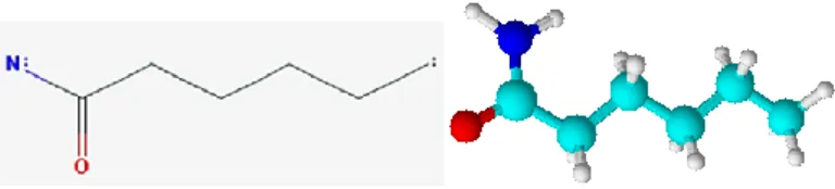Figura 2: Fórmula química e disposição atómica da molécula de amida. 