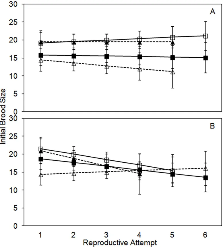 Fig 3. Least-squares means (+/- standard error) for initial brood size per reproductive attempt for males (A) and females (B)