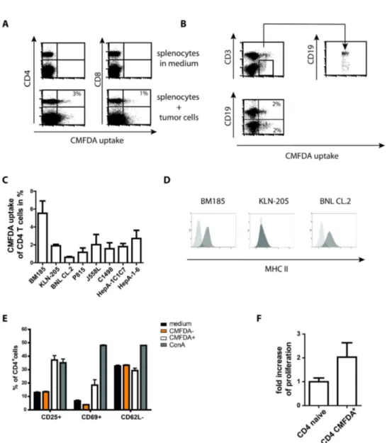 Figure 2.  Murine T cells exchange cytosol with tumor cells and reveal signs of activation