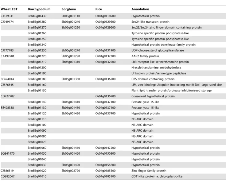 Table 3. EST markers of the wax inhibitors mapped in the Iw1 and Iw2 genomic regions.