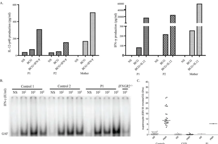 Figure 2A). The portion of the cDNA corresponding to exons 20 to 24 of AP4E1 was also amplified and no aberrant splicing form of AP4E1 mRNA was found in the cells of P1 (Figure 2B)