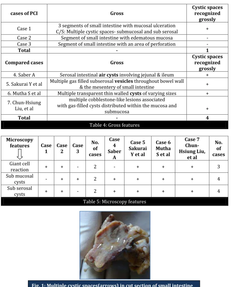 Table 4: Gross features 