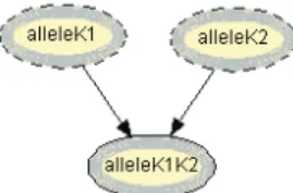 Figure 14: disjunction network. 