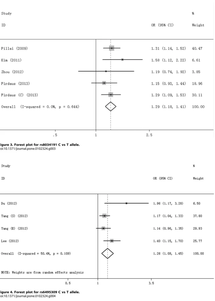 Figure 3. Forest plot for rs8034191 C vs T allele.