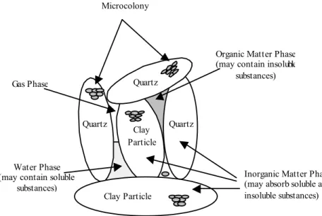 Fig. 1: Soil phases 