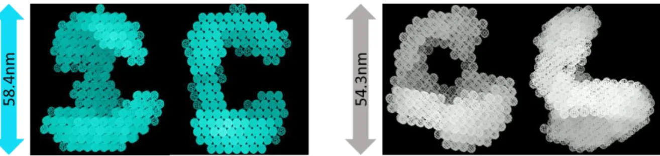 Figure 4. Low resolution structures obtained from SAXS measurements of 3 at 1 x 10 -4  M in 100% DMSO (left,  in  blue)  and  10%  DMSO  /  90%  H 2 O  mixture  (right,  white)
