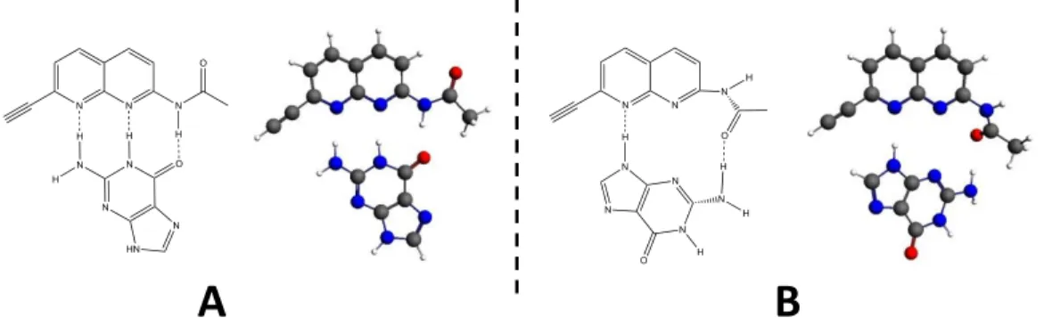 Fig 1: Schematic and ball &amp; sticks representation of analyzed species