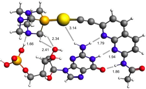 Figure 7. Ball &amp; stick representation of the adduct from 3 and GMP. Hydrogen bonding interactions are  highlighted, with their respective distances.